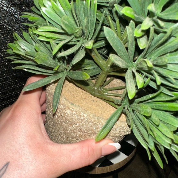 Faux Greenery Potted Plant - Picture 5 of 7